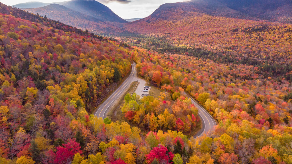 New England Fall Foliage & Pumpkin Regatta!